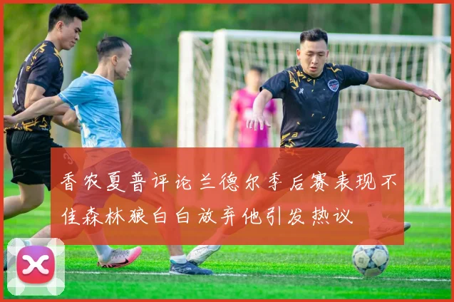 香农夏普评论兰德尔季后赛表现不佳森林狼白白放弃他引发热议