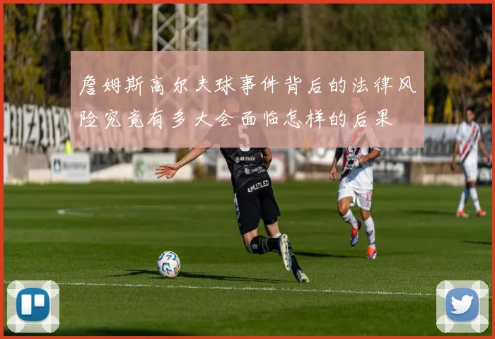 詹姆斯高尔夫球事件背后的法律风险究竟有多大会面临怎样的后果